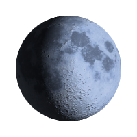 Первая четверть